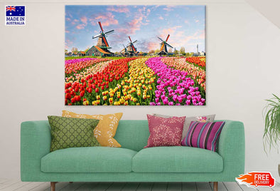 Colorful Tulip Fields Netherland Print 100% Australian Made Stretched Canvas Ready to Hang - 1621