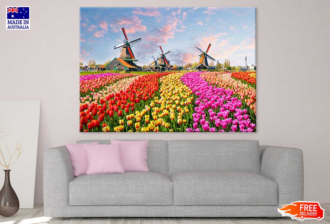 Colorful Tulip Fields Netherland Print 100% Australian Made Stretched Canvas Ready to Hang - 1621