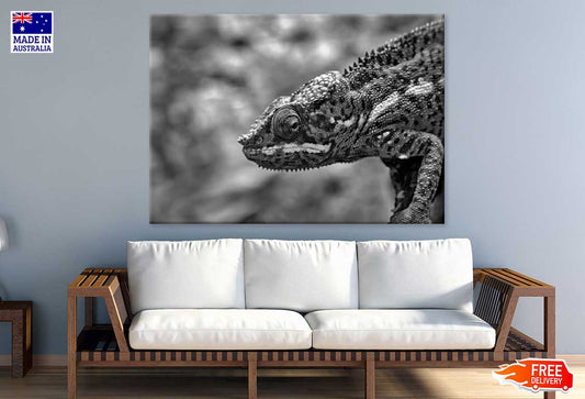 Chameleon Closeup B&W Photograph Print 100% Australian Made Stretched Canvas Ready to Hang - 1272