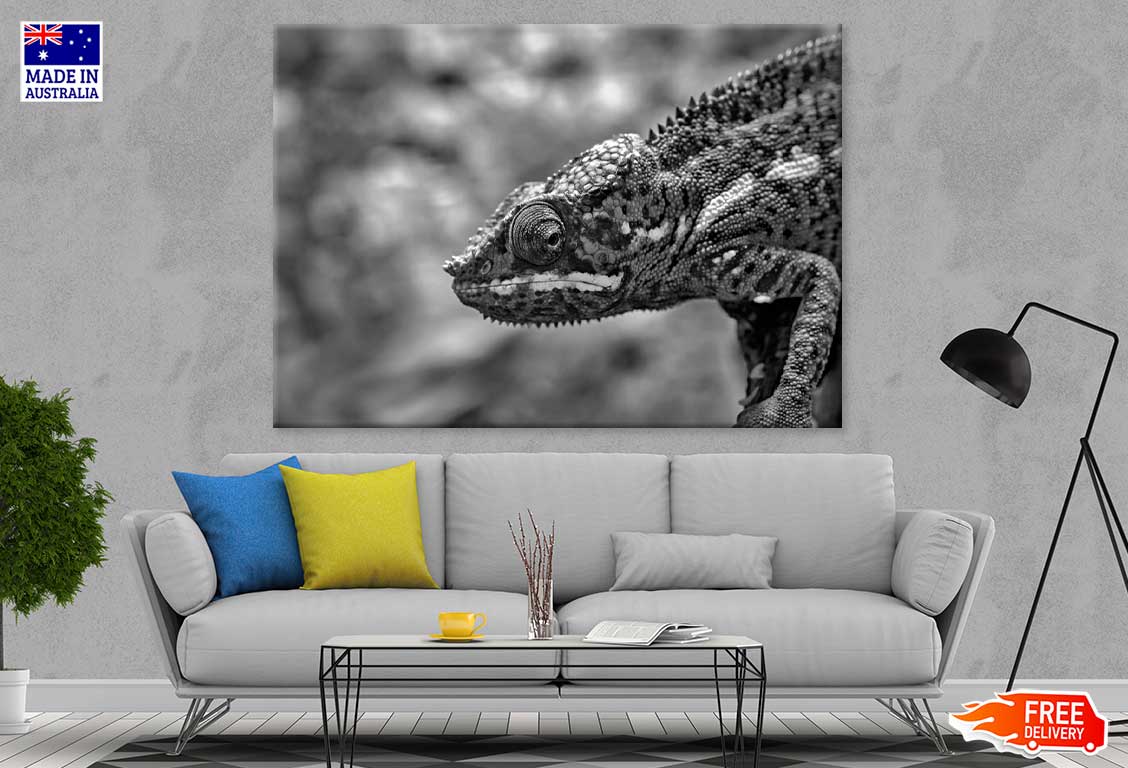 Chameleon Closeup B&W Photograph Print 100% Australian Made Stretched Canvas Ready to Hang - 1272