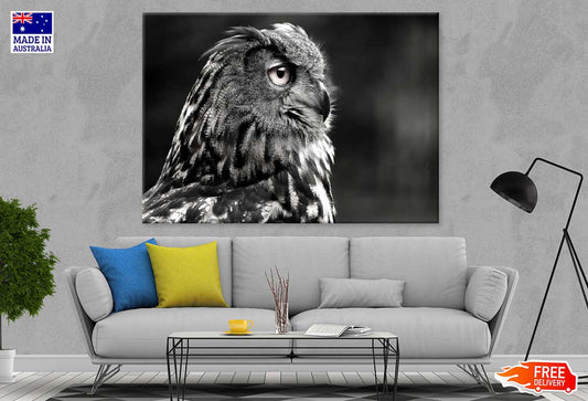 Owl Face Side View B&W Photograph Print 100% Australian Made Stretched Canvas Ready to Hang - 1273