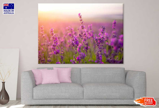 Purple Lavender Flowers Sunset Print 100% Australian Made Stretched Canvas Ready to Hang - 1622