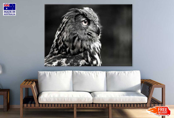 Owl Face Side View B&W Photograph Print 100% Australian Made Stretched Canvas Ready to Hang - 1273