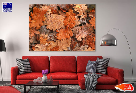 Orange & Brown Oak Leaves View Print 100% Australian Made Stretched Canvas Ready to Hang - 1751