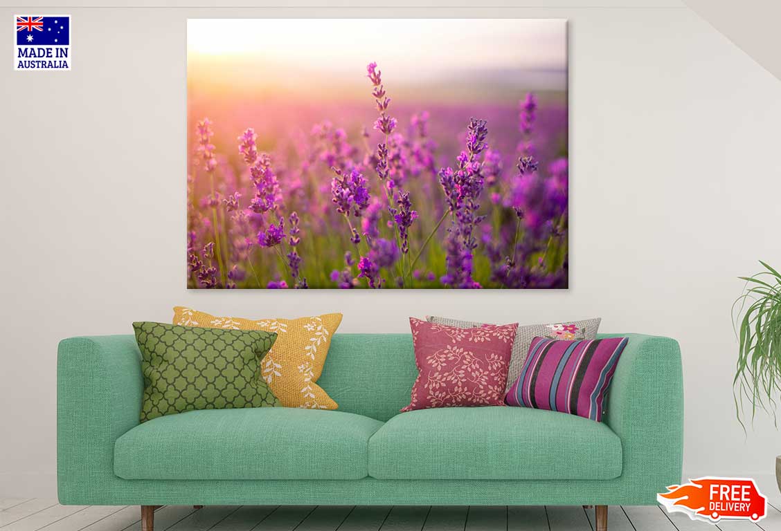 Purple Lavender Flowers Sunset Print 100% Australian Made Stretched Canvas Ready to Hang - 1622