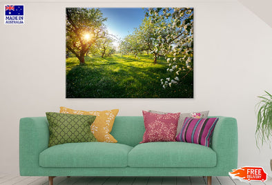 Blooming Lush Trees Garden View Print 100% Australian Made Stretched Canvas Ready to Hang - 1752