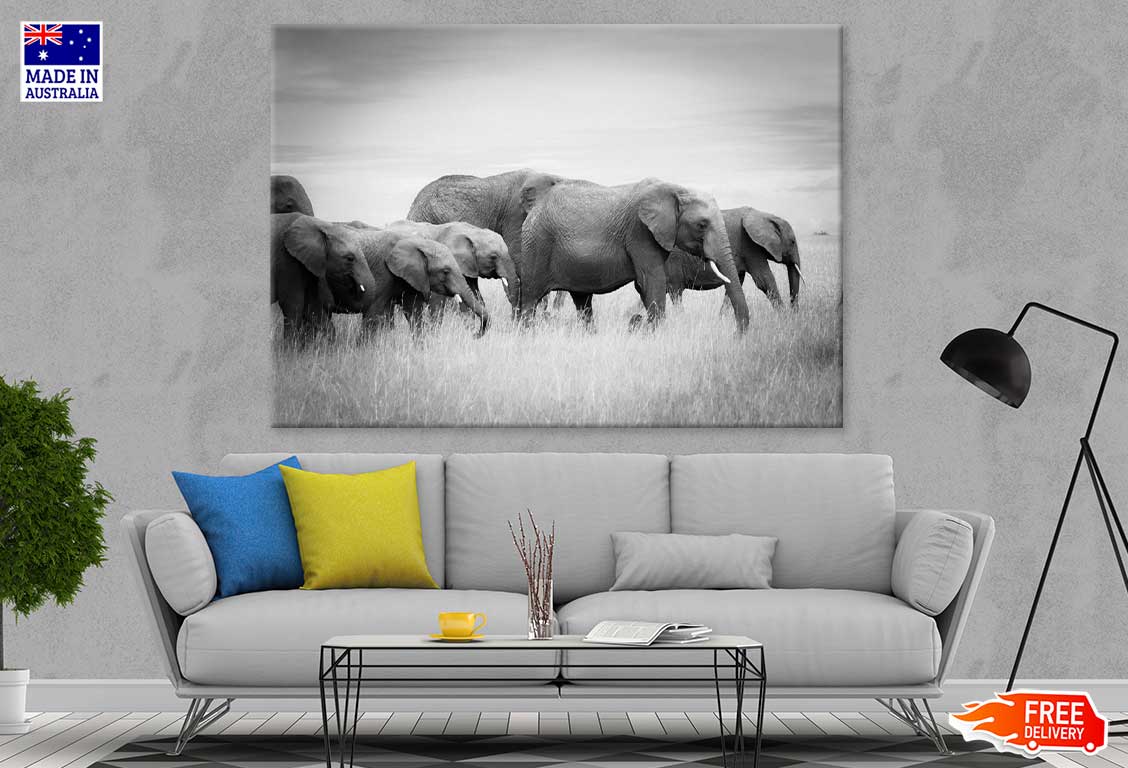 Elephants on Grass Field B&W View Print 100% Australian Made Stretched Canvas Ready to Hang - 1275