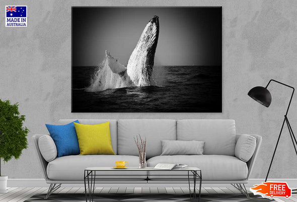 Whale on Sea B&W View Photograph Print 100% Australian Made Stretched Canvas Ready to Hang - 1276