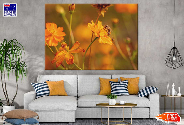 Bee on Yellow Cosmos Flower View Print 100% Australian Made Stretched Canvas Ready to Hang - 1625