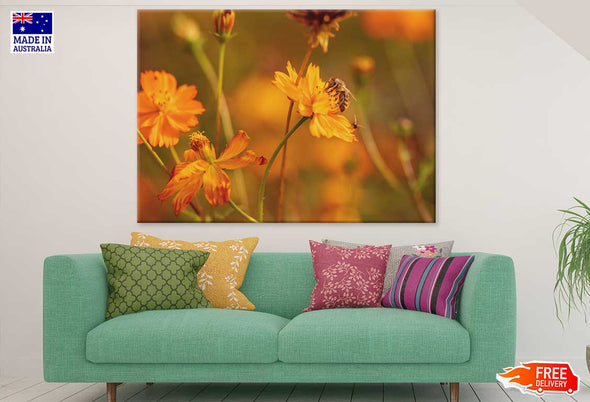 Bee on Yellow Cosmos Flower View Print 100% Australian Made Stretched Canvas Ready to Hang - 1625