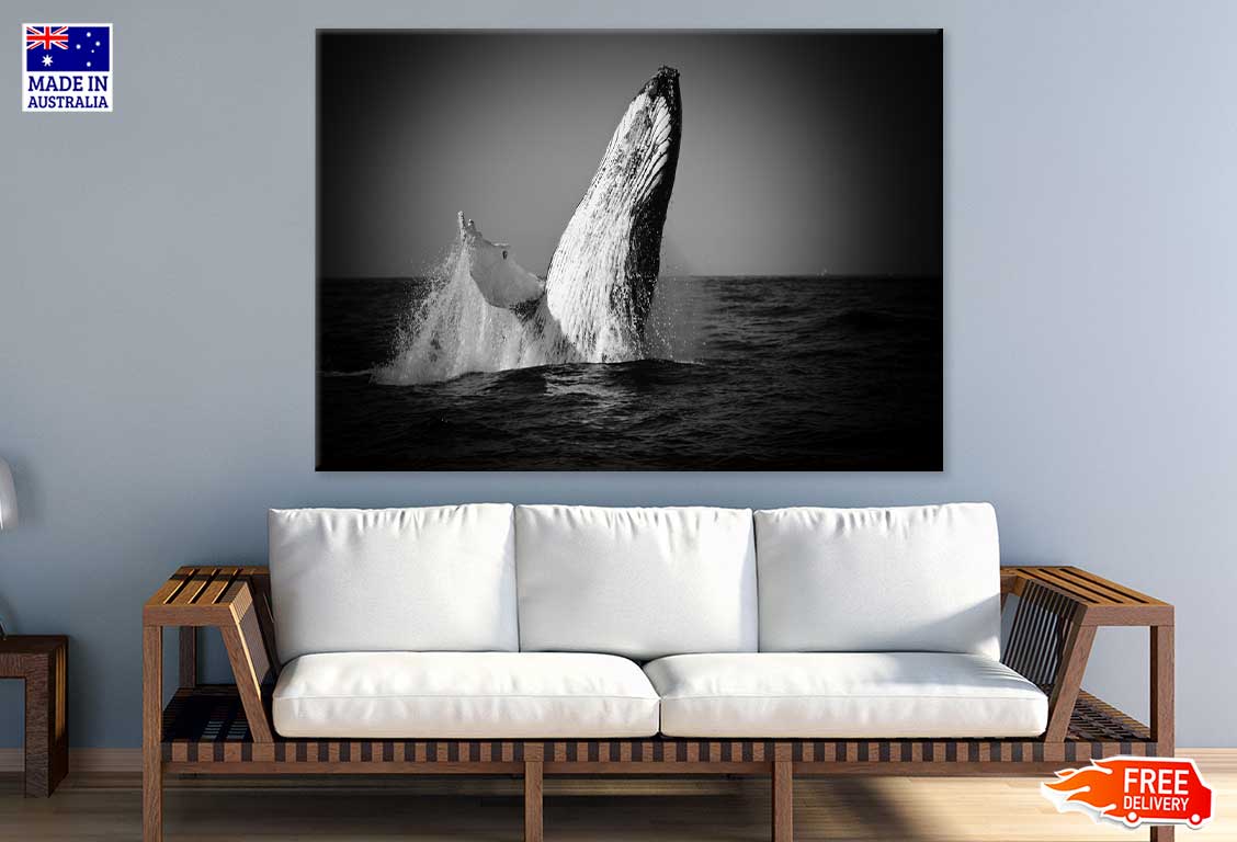 Whale on Sea B&W View Photograph Print 100% Australian Made Stretched Canvas Ready to Hang - 1276