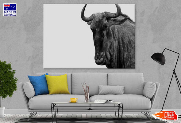 African Buffalo B&W Photograph Print 100% Australian Made Stretched Canvas Ready to Hang - 1277