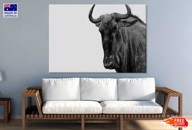 African Buffalo B&W Photograph Print 100% Australian Made Stretched Canvas Ready to Hang - 1277