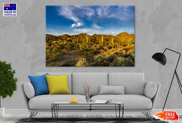 Sunset Sonoran Desert Photograph Print 100% Australian Made Stretched Canvas Ready to Hang - 1078