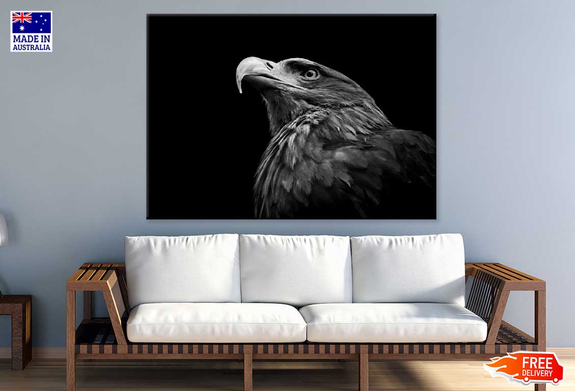 Eagle Face Closeup B&W Photograph Print 100% Australian Made Stretched Canvas Ready to Hang - 1278