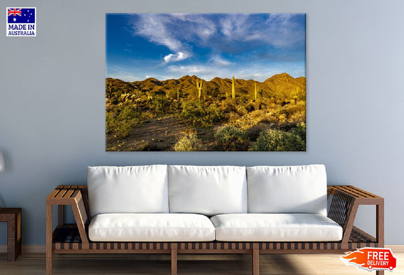 Sunset Sonoran Desert Photograph Print 100% Australian Made Stretched Canvas Ready to Hang - 1078