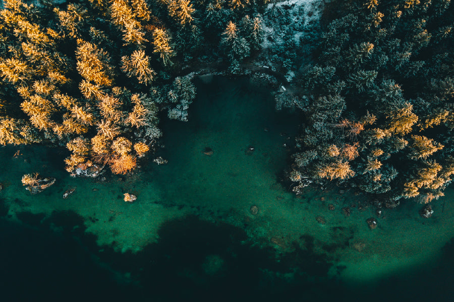 Autumn Trees & Lake Aerial View Print 100% Australian Made Stretched Canvas Ready to Hang - 1756