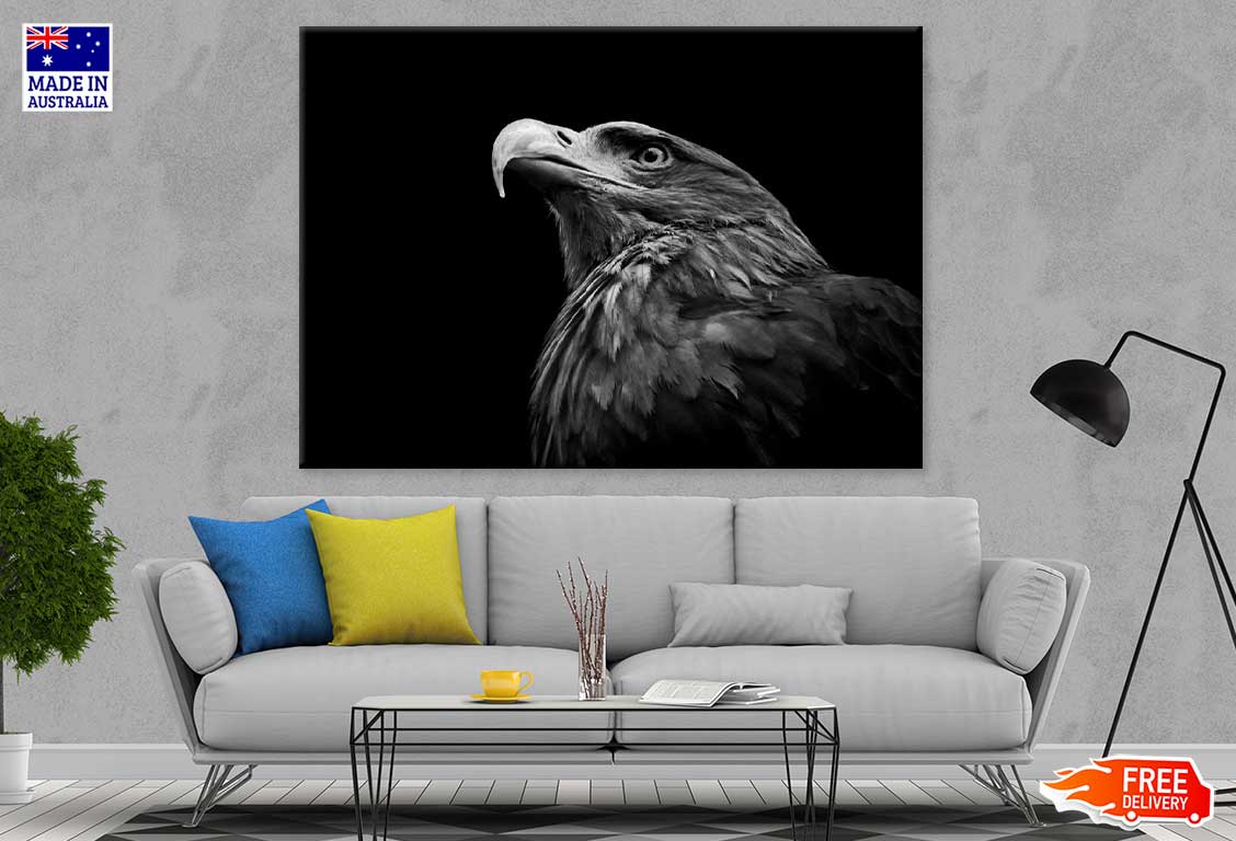 Eagle Face Closeup B&W Photograph Print 100% Australian Made Stretched Canvas Ready to Hang - 1278