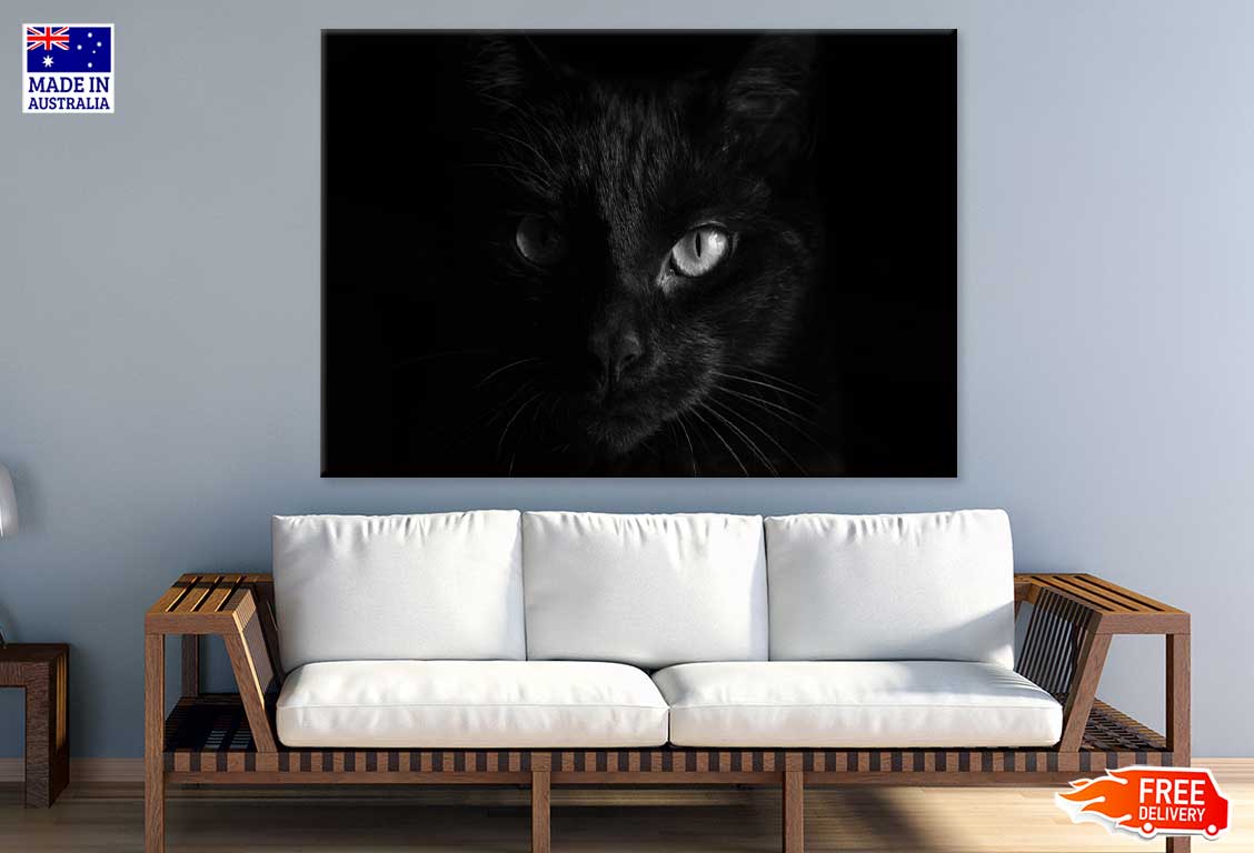 Black Cat Eye B&W View Photograph Print 100% Australian Made Stretched Canvas Ready to Hang - 1279