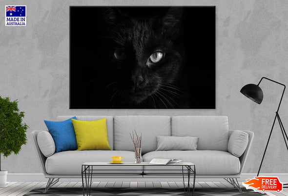 Black Cat Eye B&W View Photograph Print 100% Australian Made Stretched Canvas Ready to Hang - 1279