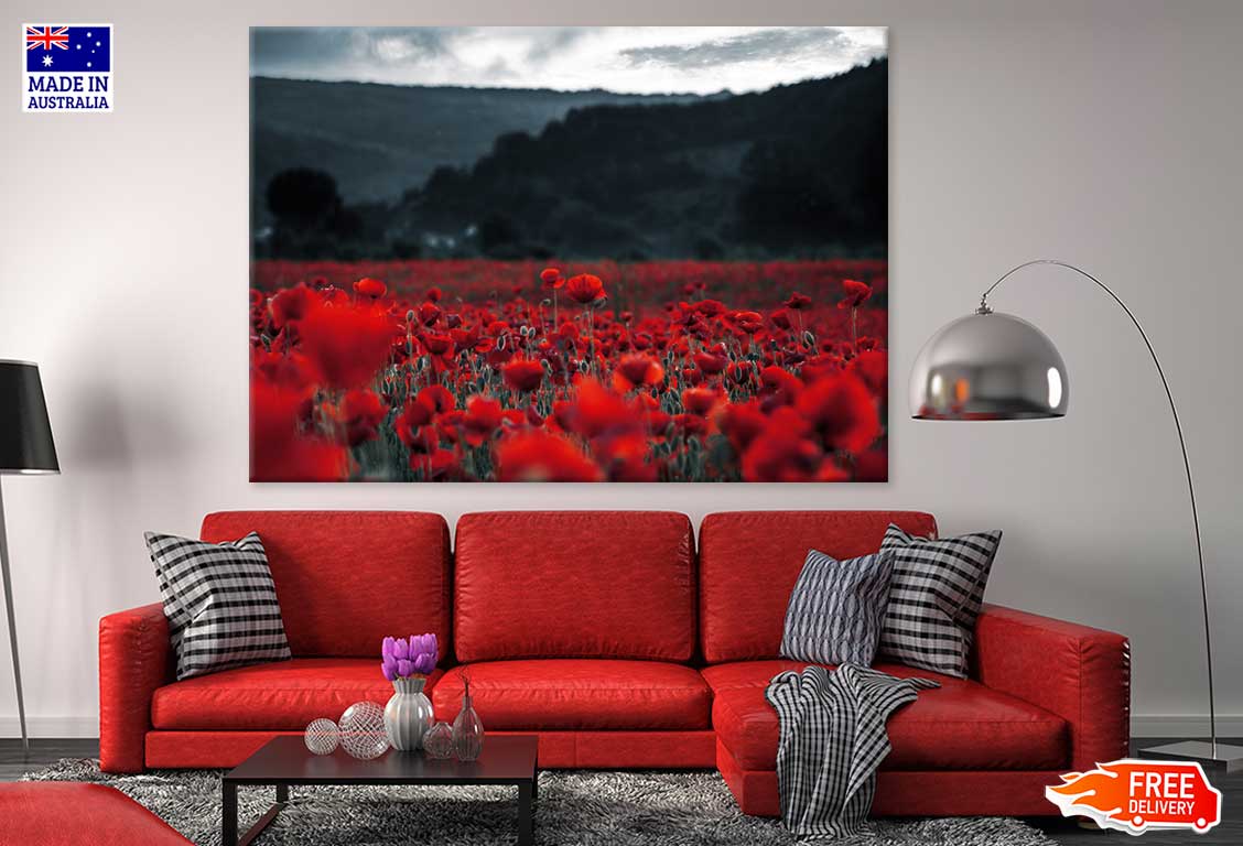 Poppy Field in Dark Photograph Print 100% Australian Made Stretched Canvas Ready to Hang - 1629