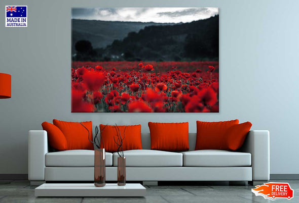 Poppy Field in Dark Photograph Print 100% Australian Made Stretched Canvas Ready to Hang - 1629