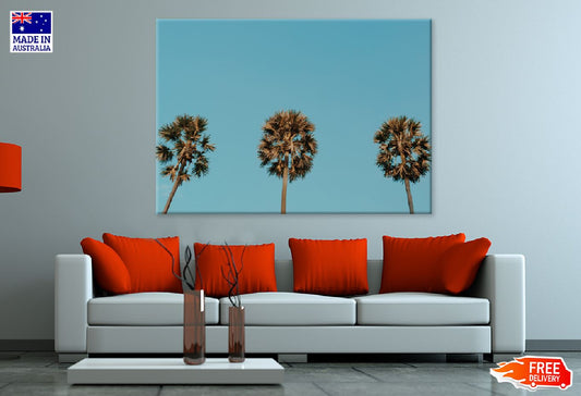 Tropical Palm Trees on Blue Sky Print 100% Australian Made Stretched Canvas Ready to Hang - 1759