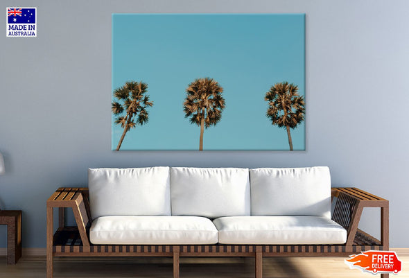 Tropical Palm Trees on Blue Sky Print 100% Australian Made Stretched Canvas Ready to Hang - 1759