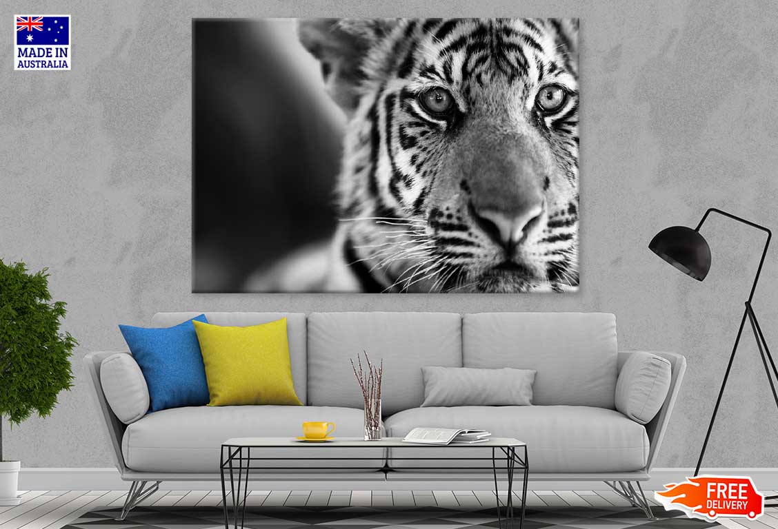 Tiger Face B&W Closeup Photograph Print 100% Australian Made Stretched Canvas Ready to Hang - 1281