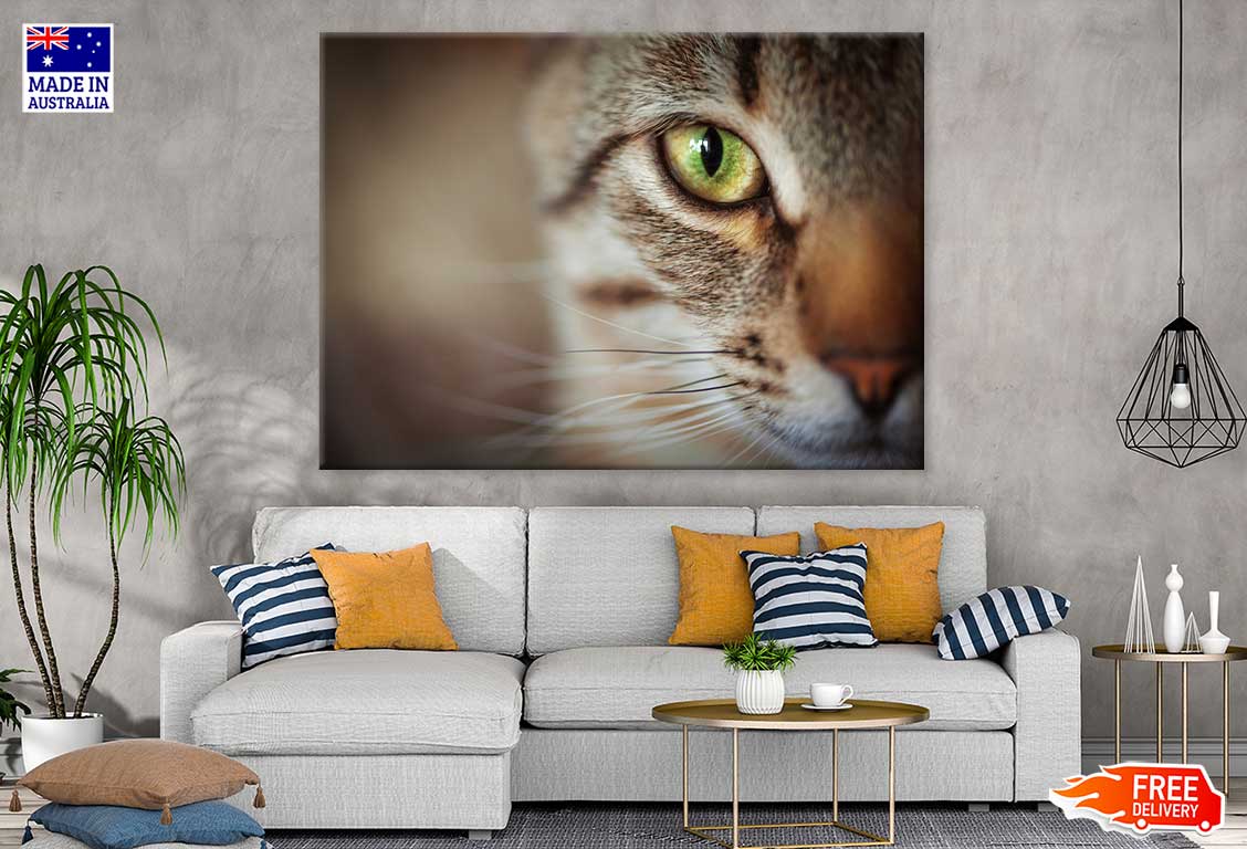 Cat Yellow Eye Closeup Photograph Print 100% Australian Made Stretched Canvas Ready to Hang - 1209