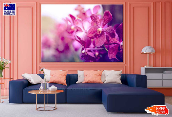 Purple Orchid Flower Closeup View Print 100% Australian Made Stretched Canvas Ready to Hang - 1558