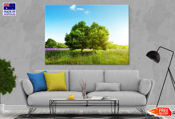 Trees on Grass Field Sky View Print 100% Australian Made Stretched Canvas Ready to Hang - 1687