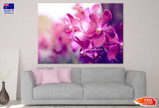 Purple Orchid Flower Closeup View Print 100% Australian Made Stretched Canvas Ready to Hang - 1558