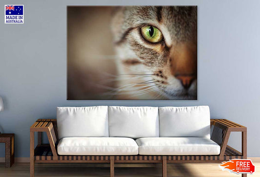 Cat Yellow Eye Closeup Photograph Print 100% Australian Made Stretched Canvas Ready to Hang - 1209