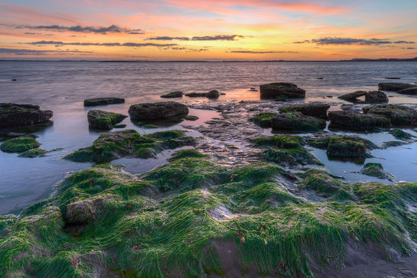 Mossy Rocks on Sea Sunset View Print 100% Australian Made Stretched Canvas Ready to Hang - 1009