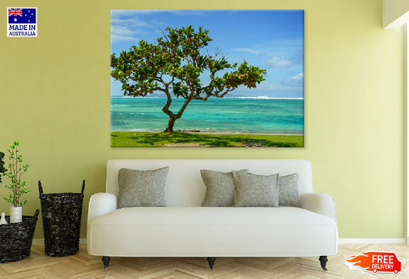 Alone Tree Near Sea in Okinawa Print 100% Australian Made Stretched Canvas Ready to Hang - 1761