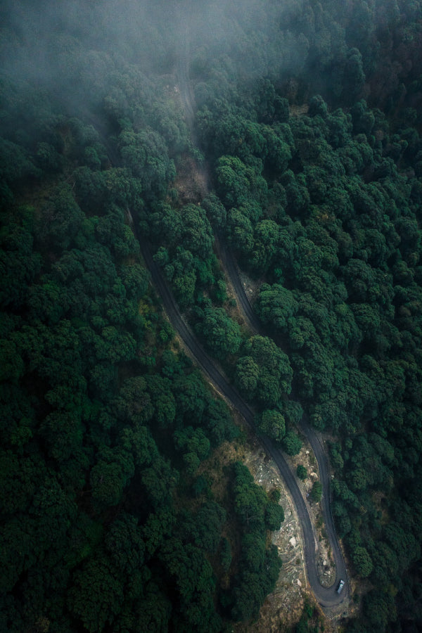 Road Forest & Dense Trees Aerial Print 100% Australian Made Stretched Canvas Ready to Hang - 1083