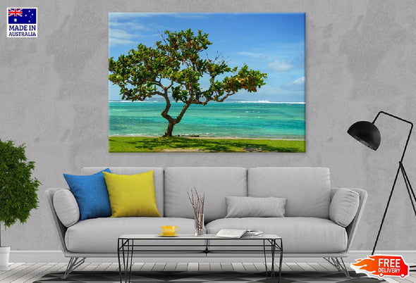 Alone Tree Near Sea in Okinawa Print 100% Australian Made Stretched Canvas Ready to Hang - 1761