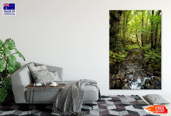 Landscape Rain Forest Scenery Print 100% Australian Made Stretched Canvas Ready to Hang - 1084