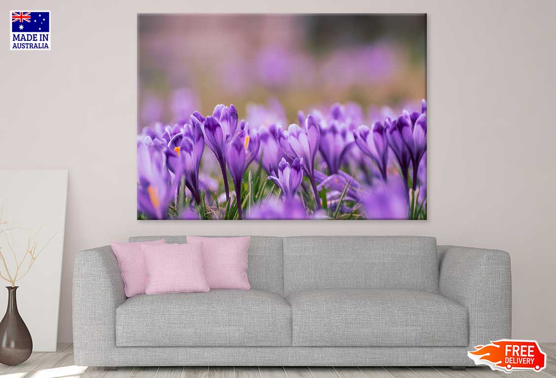 Purple Violet Flowers Photograph Print 100% Australian Made Stretched Canvas Ready to Hang - 1633