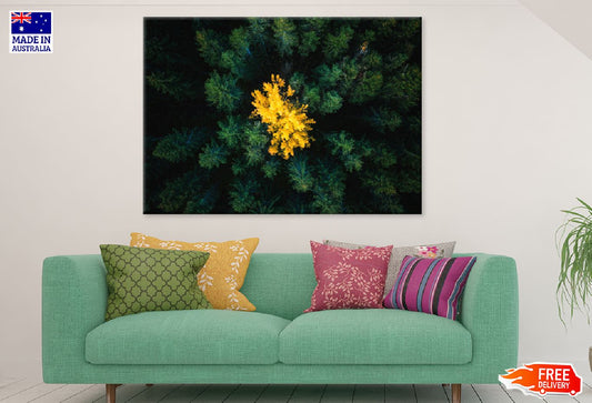 Yellow Tree in Green Forest View Print 100% Australian Made Stretched Canvas Ready to Hang - 1762