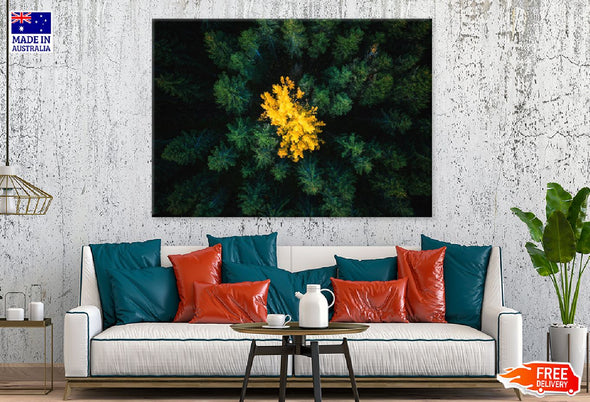 Yellow Tree in Green Forest View Print 100% Australian Made Stretched Canvas Ready to Hang - 1762