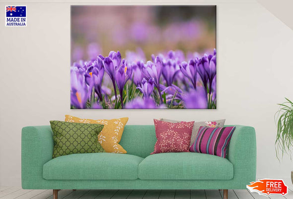 Purple Violet Flowers Photograph Print 100% Australian Made Stretched Canvas Ready to Hang - 1633