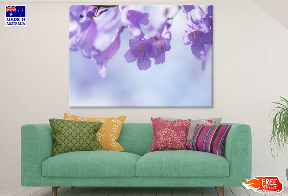 Jacaranda Flowers Closeup View Print 100% Australian Made Stretched Canvas Ready to Hang - 1634