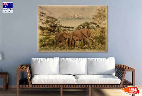 Vantage Old Elephants in Field Print 100% Australian Made Stretched Canvas Ready to Hang - 1285