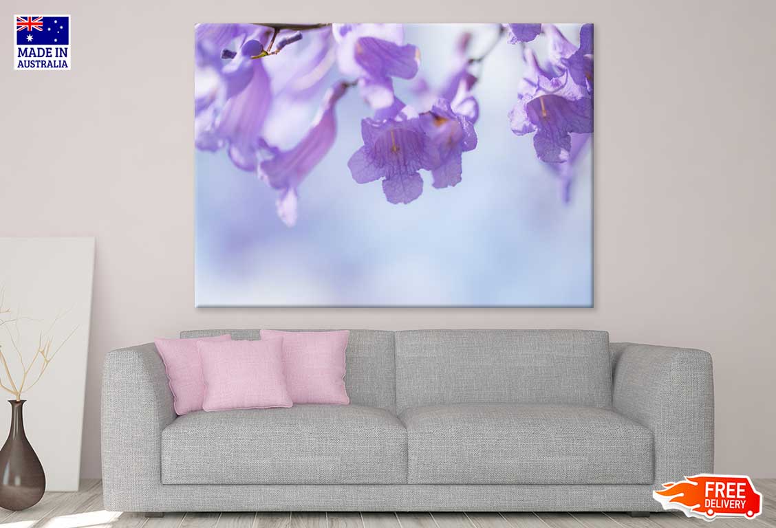 Jacaranda Flowers Closeup View Print 100% Australian Made Stretched Canvas Ready to Hang - 1634