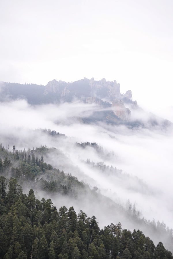 Fir Trees Mountains & Cloudy Sky Print 100% Australian Made Stretched Canvas Ready to Hang - 1085