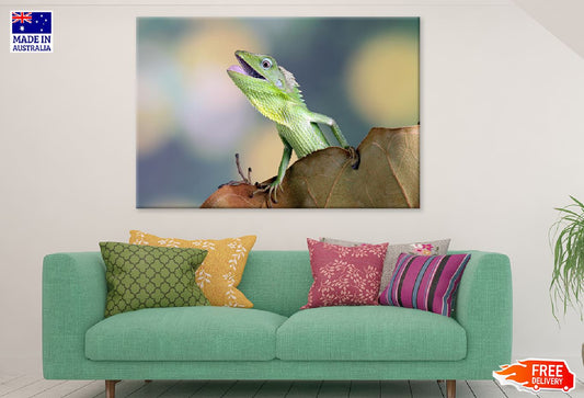 Chameleons Reptile Closeup View Print 100% Australian Made Stretched Canvas Ready to Hang - 1286