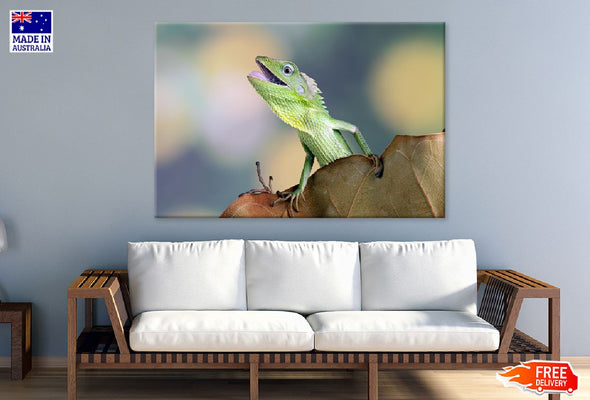 Chameleons Reptile Closeup View Print 100% Australian Made Stretched Canvas Ready to Hang - 1286