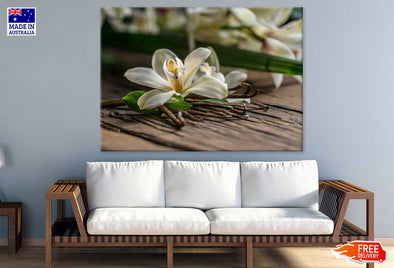 Lily Plant on Table Closeup View Print 100% Australian Made Stretched Canvas Ready to Hang - 1635